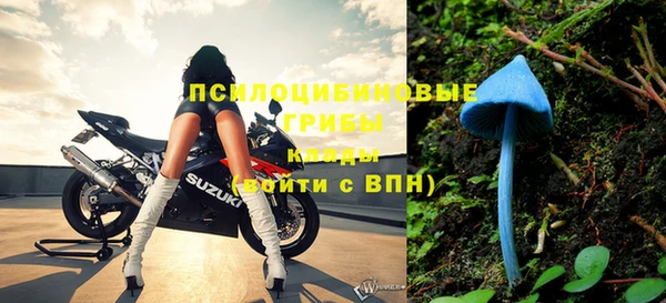 мдпв Киреевск