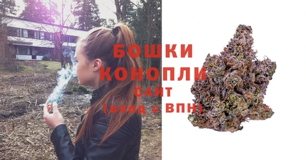 мдпв Киреевск