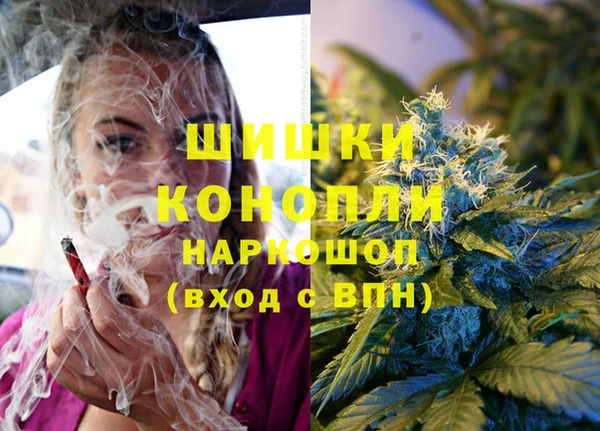 крисы Кинешма