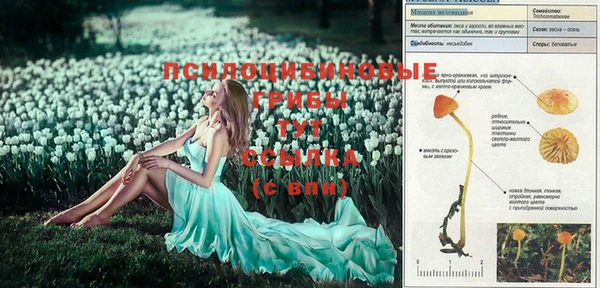 крисы Кинешма