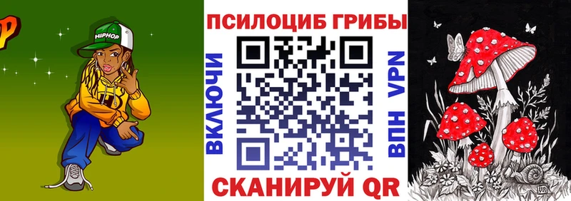 Псилоцибиновые грибы Psilocybe  Яранск 